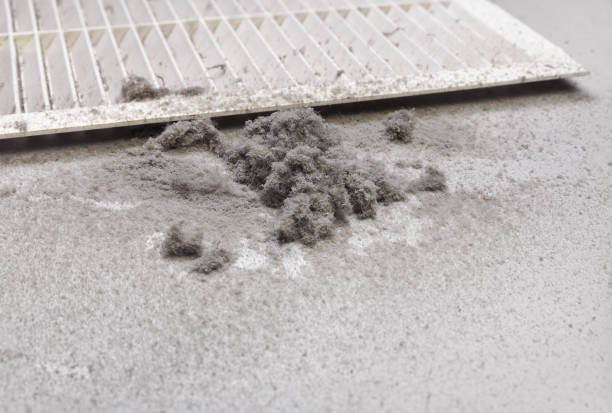 Best Affordable Duct Cleaning Services  in Sonterra, TX